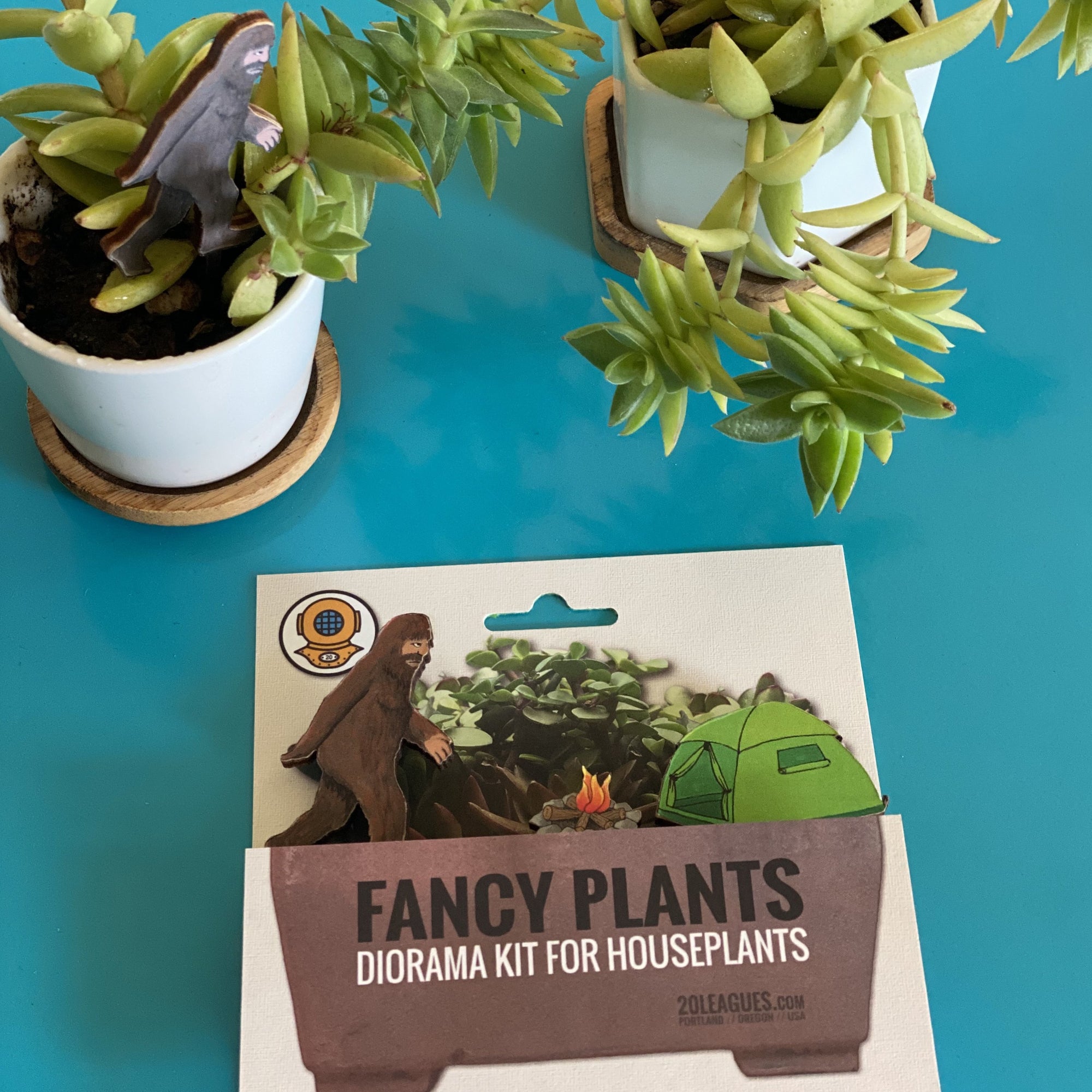 Fancy Plants - Sasquatch