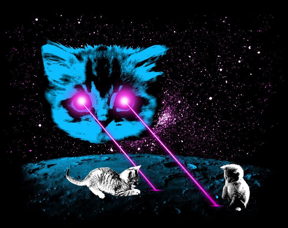 Print: Meta Laser Cat