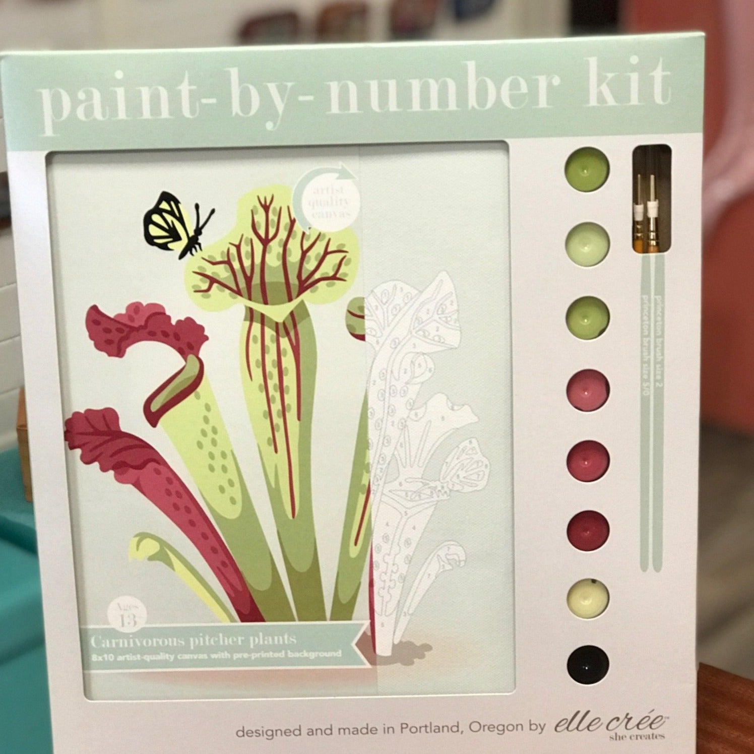 DIY - Paint By Number Kit - Carnivorous Pitcher Plants