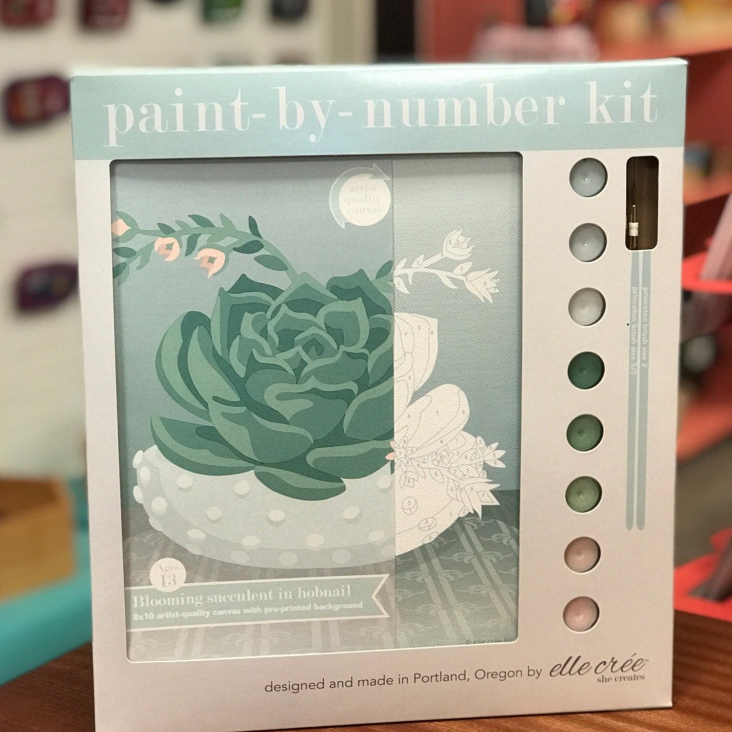 DIY - Paint By Number Kit - Succulent in Hobnail Bowl