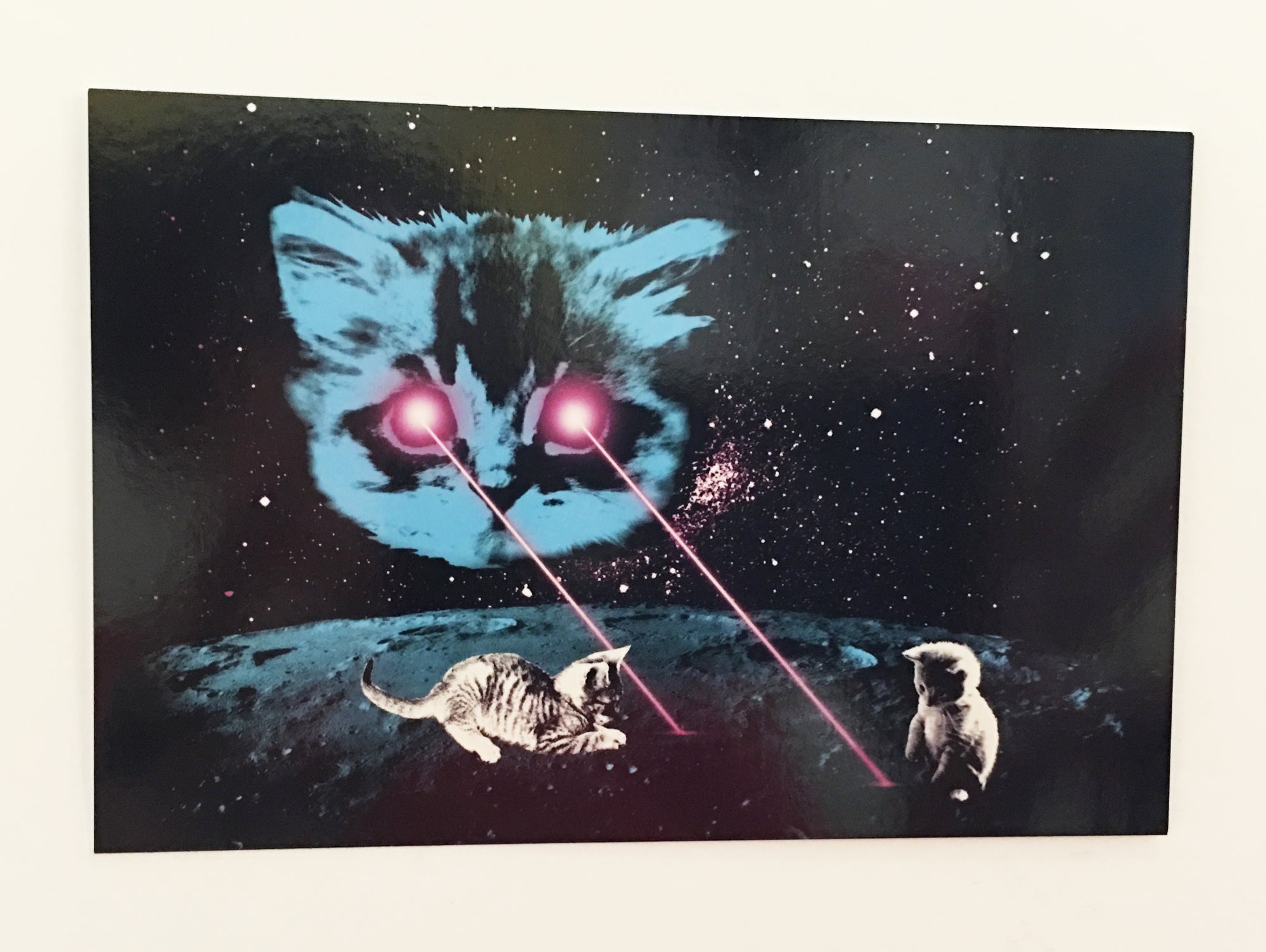 Postcard: Meta Laser Cat - Ten Pack