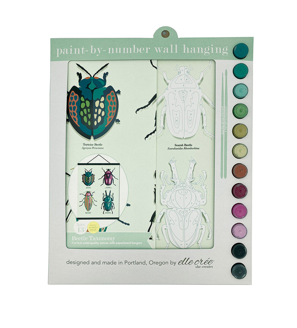 DIY -  Paint By Number Wall Hanging - Beetles